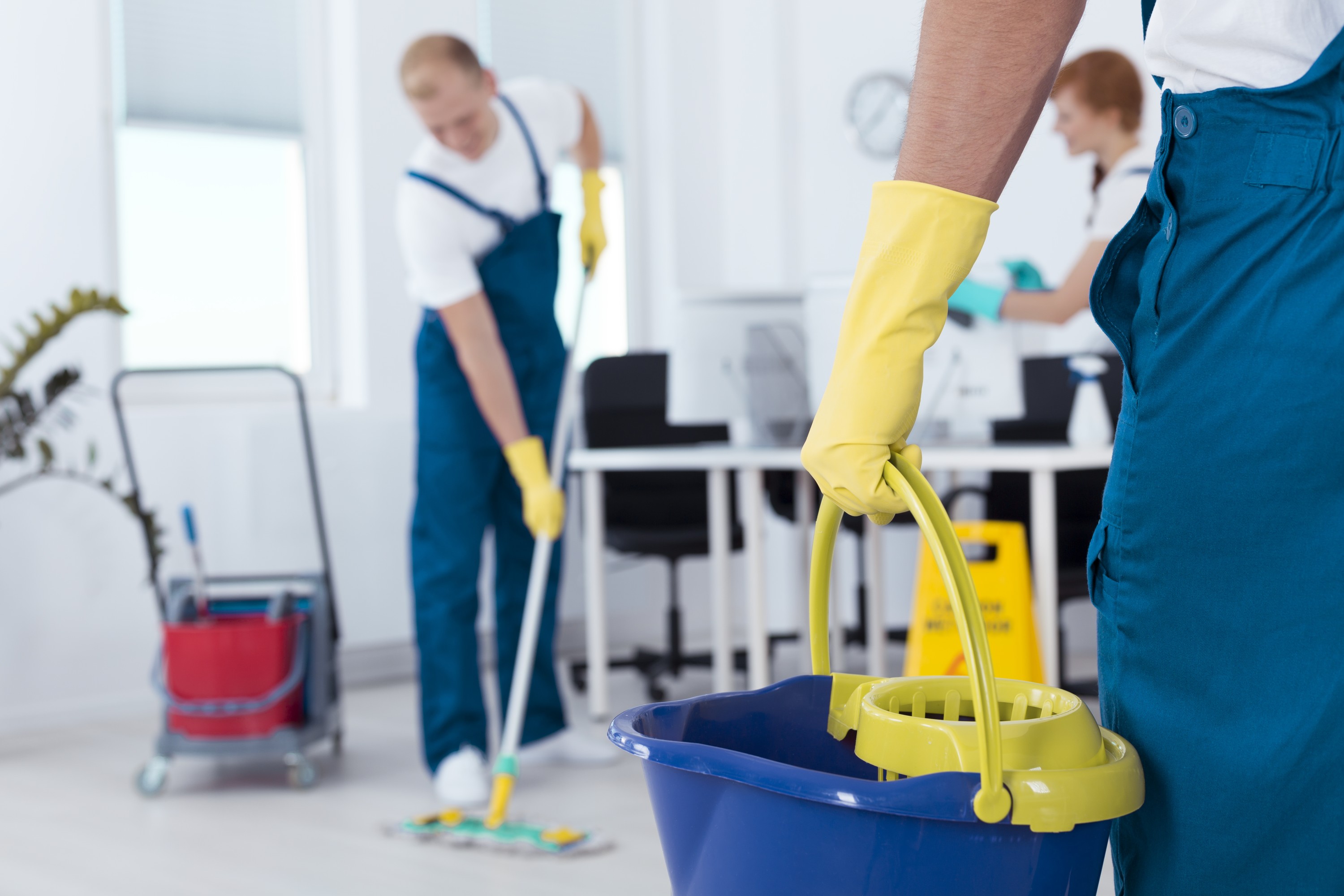 professional-cleaning-services-workers